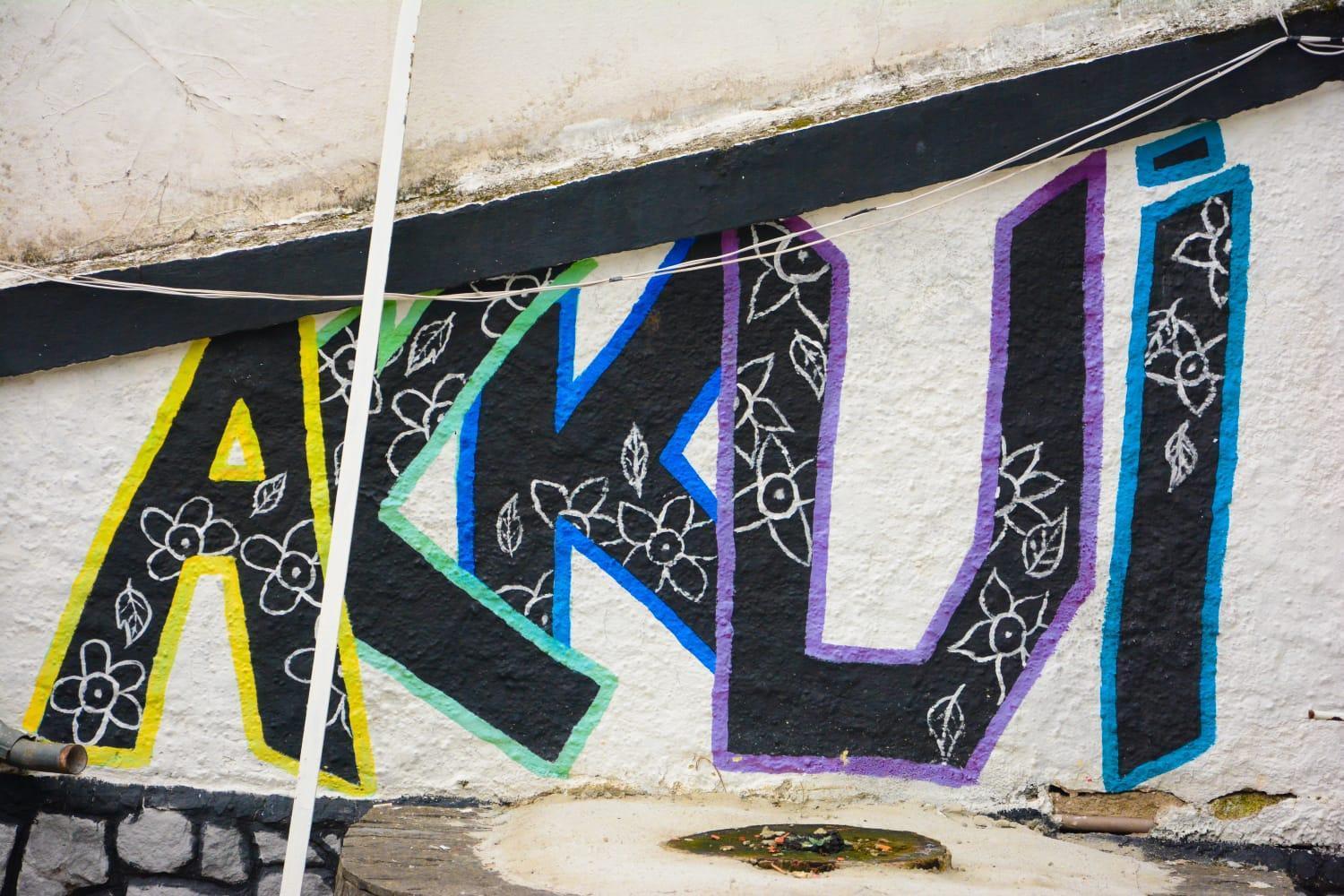 Mansao Akkui Hostel São Paulo Extérieur photo